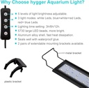 Aquarium Light